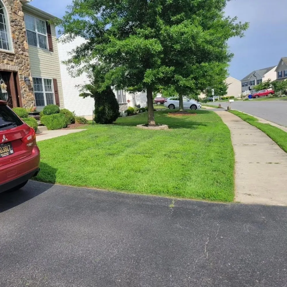 Custom landscape design for outdoor upgrades across Smyrna, DE - Moreno & Rose Landscaping