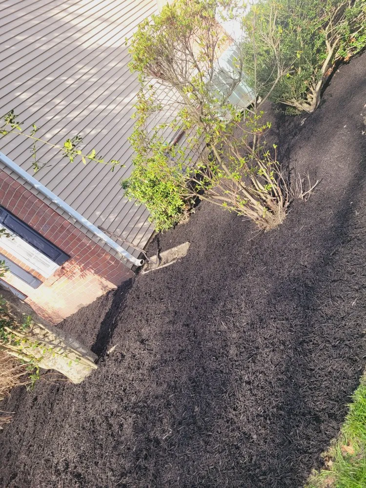 Local lawn care service in Smyrna, DE by Moreno & Rose Landscaping