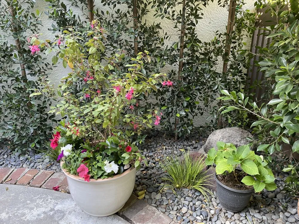 Custom residential landscaping in Los Angeles, CA - Moreno Garden Service
