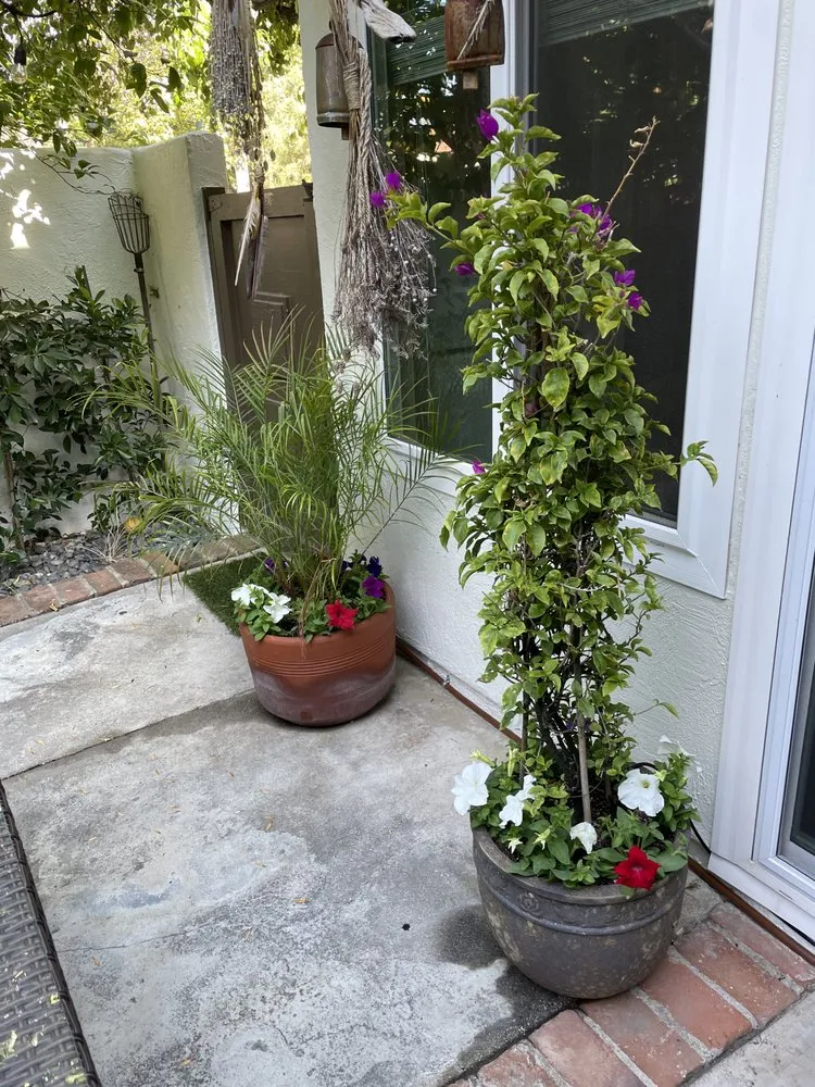 Expert landscape installation experts serving Los Angeles, CA - Moreno Garden Service