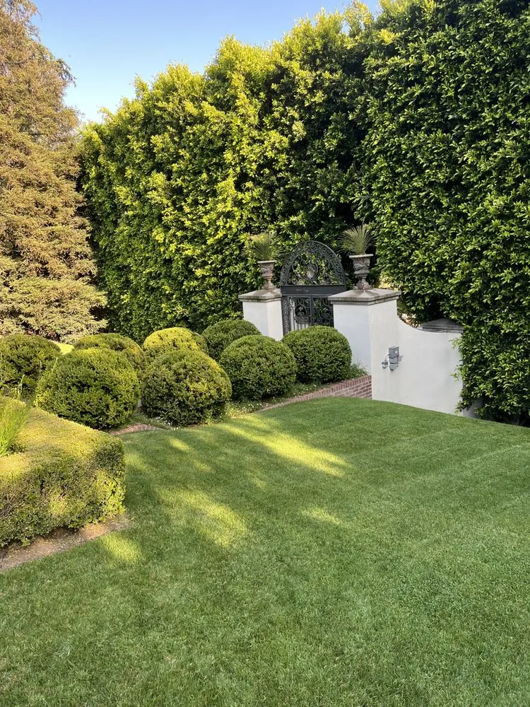 Trusted landscape installation in Los Angeles, CA by Moreno Garden Service