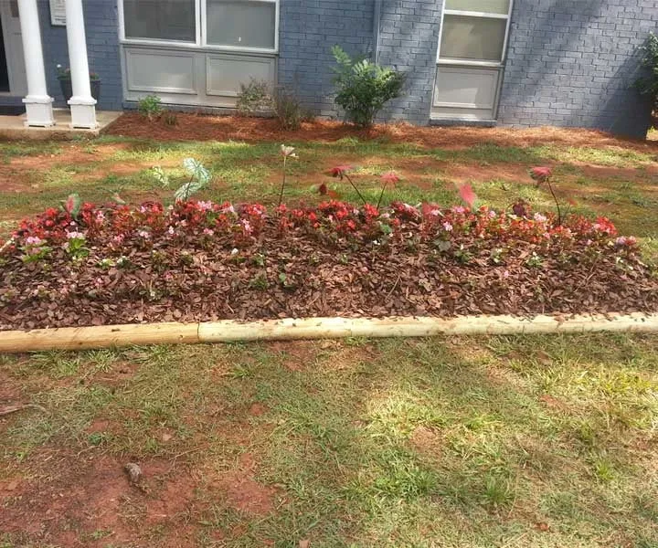 Trusted lawn care service for homes across Marietta, GA - Moreno Landscape