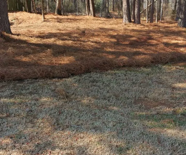 Top-rated outdoor landscaping in Marietta, GA - Moreno Landscape