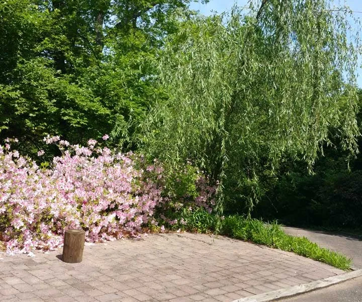 Top-rated landscape design in Marietta, GA by Moreno Landscape