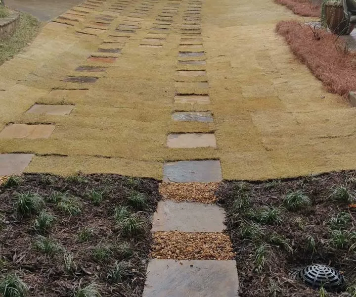 Professional lawn care service in Marietta, GA - Moreno Landscape