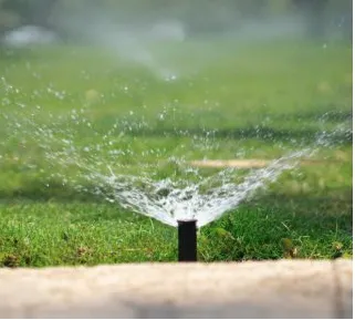 Expert landscape design in Rialto, CA by Moreno Landscape Services