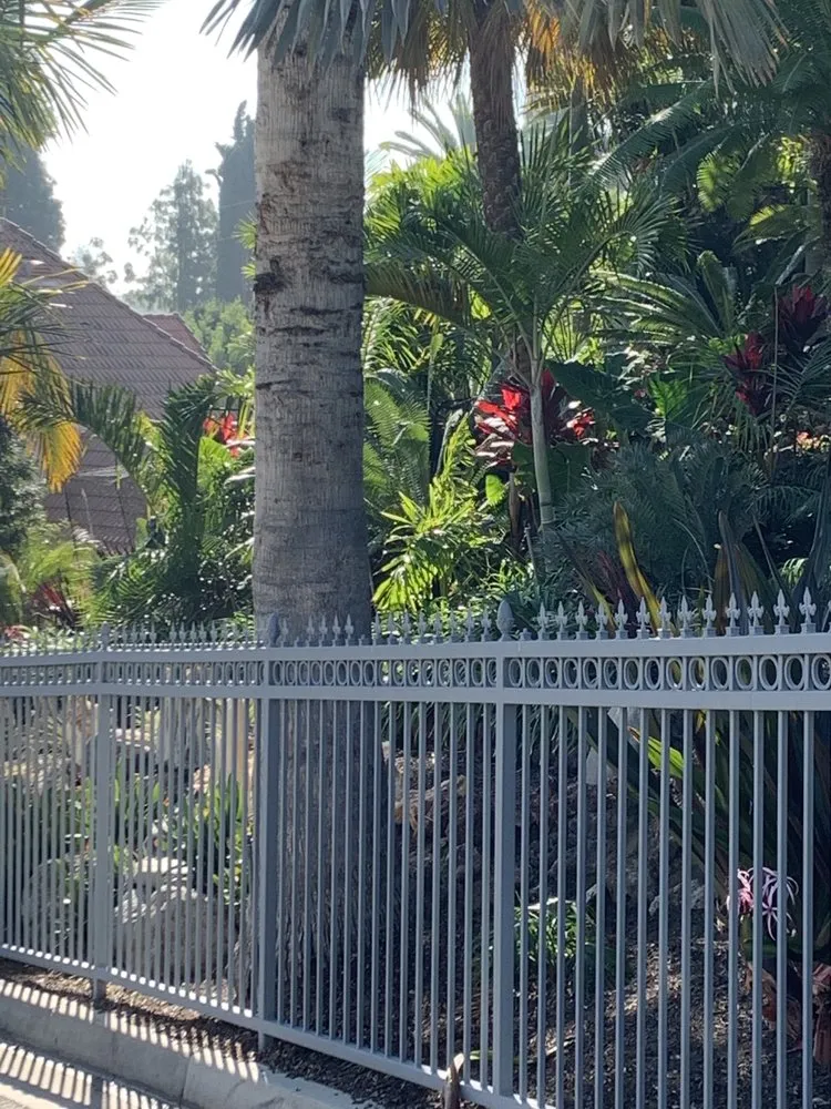 Professional yard cleanup service experts serving Bellflower, CA - Moreno Landscaping