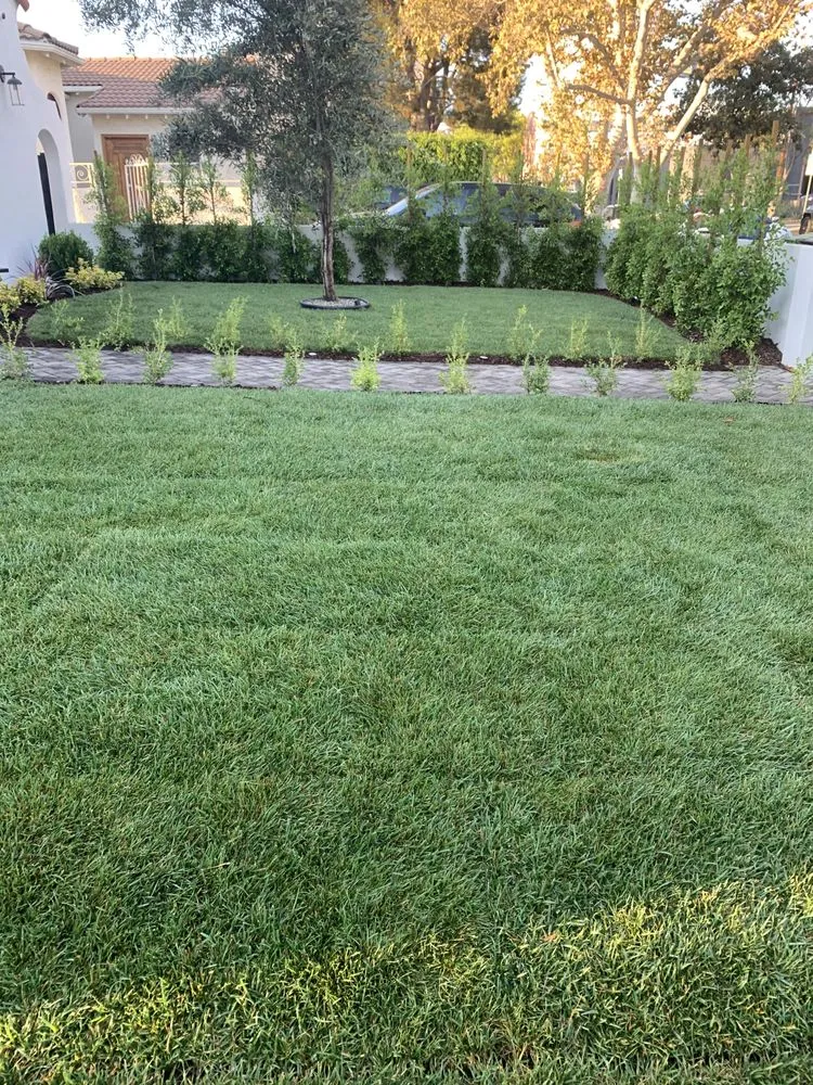Affordable landscape installation for homes across Bellflower, CA - Moreno Landscaping