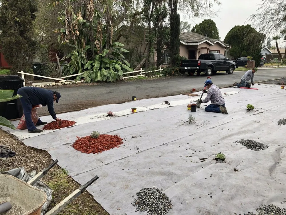 Reliable lawn mowing service in Bellflower, CA by Moreno Landscaping