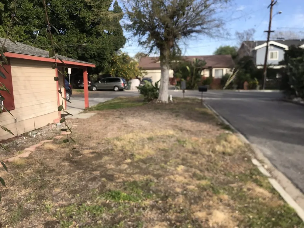 Reliable landscape design in Bellflower, CA - Moreno Landscaping