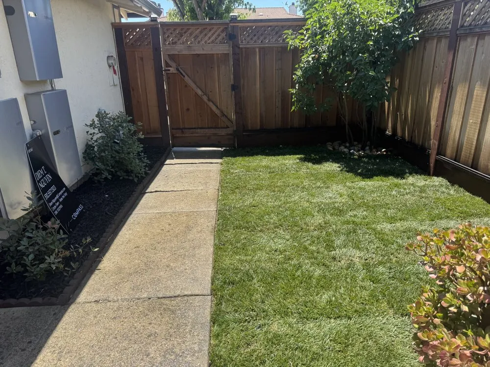 Expert lawn care service in Livermore, CA - Moreno Landscaping