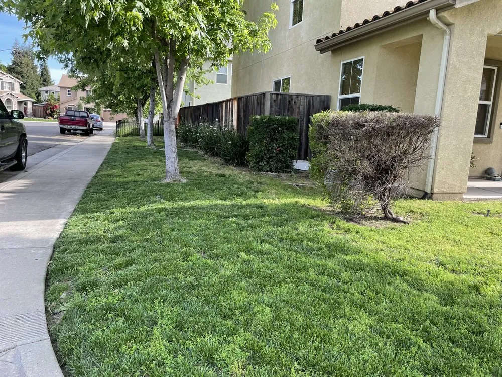 Expert outdoor landscaping experts serving Modesto, CA - Moreno Landscaping