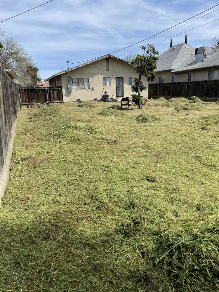 Professional lawn care service experts serving Modesto, CA - Moreno Landscaping