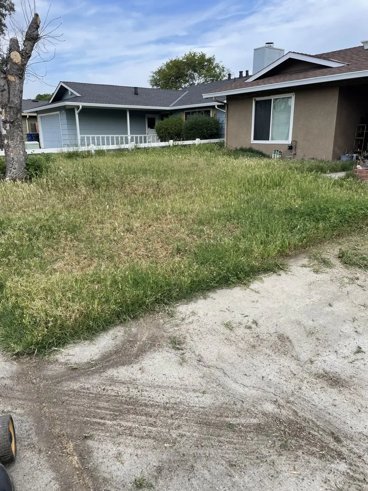 Professional landscape design for year-round maintenance in Modesto, CA by Moreno Landscaping