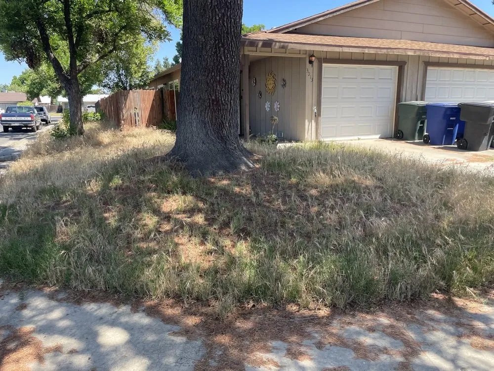 Affordable yard maintenance experts serving Modesto, CA - Moreno Landscaping