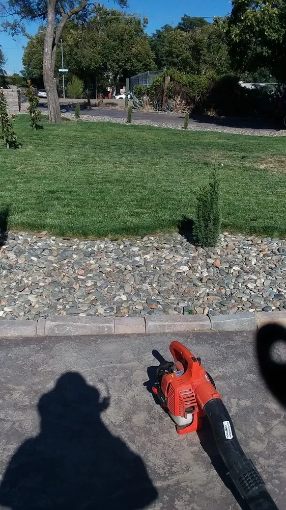 Trusted yard maintenance experts serving Modesto, CA - Moreno Landscaping