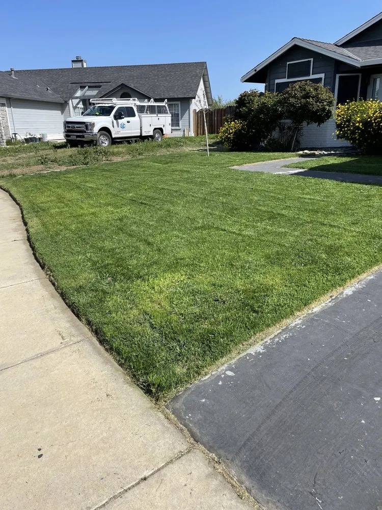 Custom yard maintenance for year-round maintenance across Modesto, CA - Moreno Landscaping