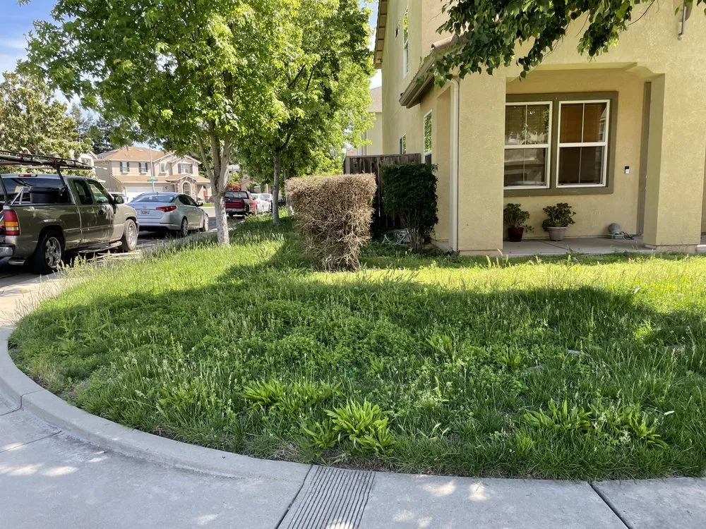 Reliable yard maintenance for outdoor upgrades in Modesto, CA by Moreno Landscaping