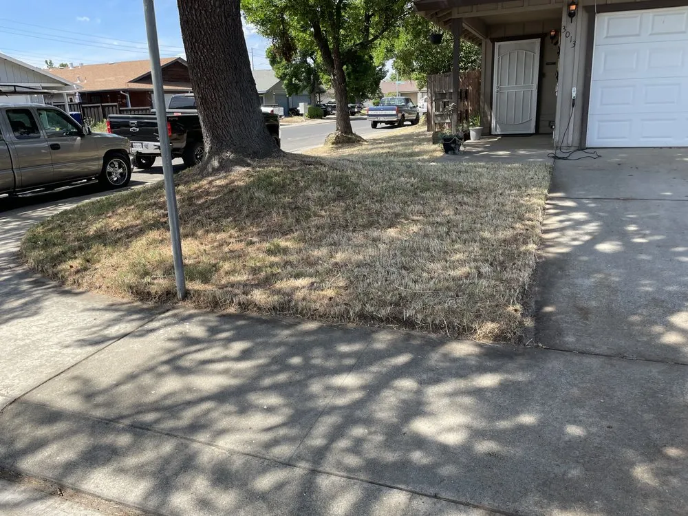 Expert yard cleanup service in Modesto, CA - Moreno Landscaping