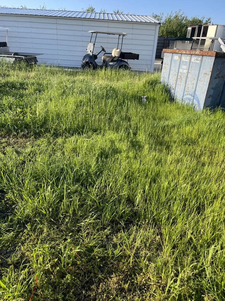 Trusted lawn mowing service for year-round maintenance in Modesto, CA by Moreno Landscaping