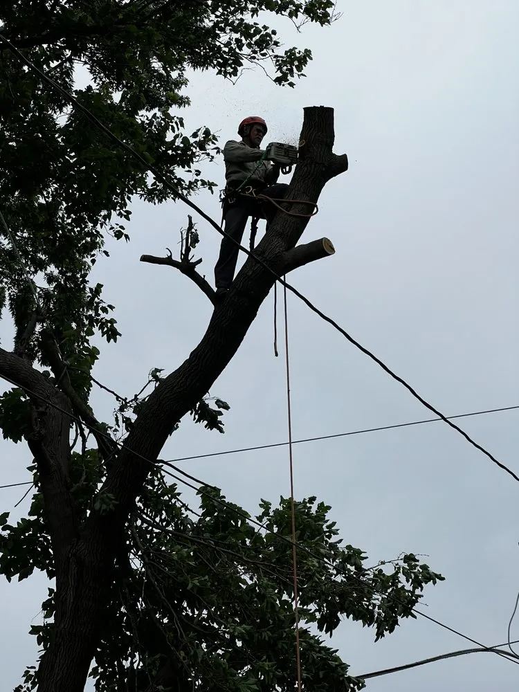 Local residential landscaping in Mundelein, IL by Moreno Landscaping