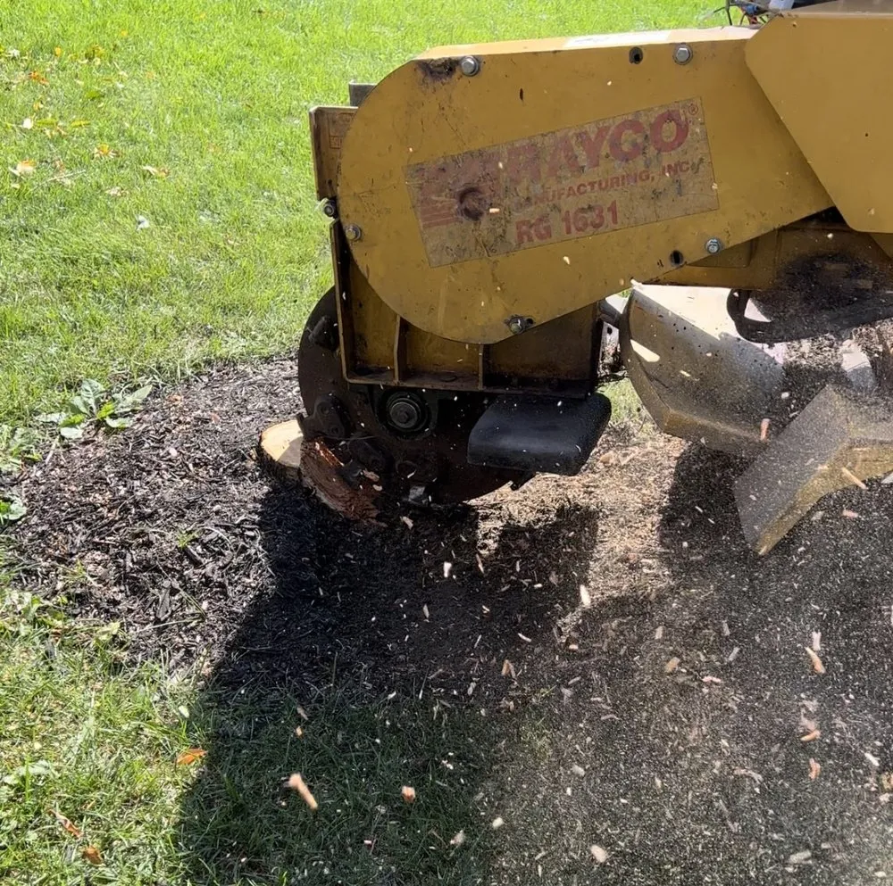 Local lawn mowing service near you in Mundelein, IL by Moreno Landscaping