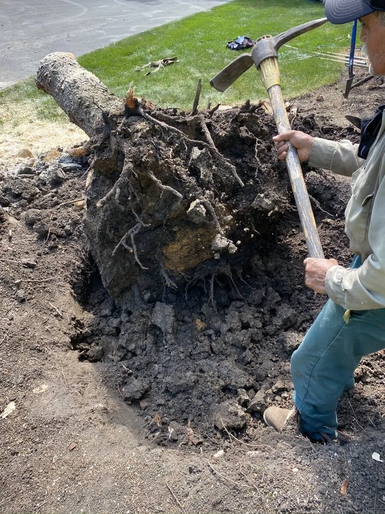 Expert yard maintenance for year-round maintenance in Mundelein, IL by Moreno Landscaping