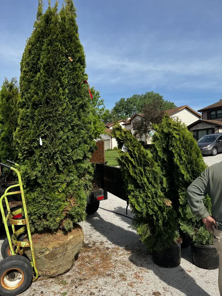 Trusted residential landscaping for year-round maintenance across Mundelein, IL - Moreno Landscaping