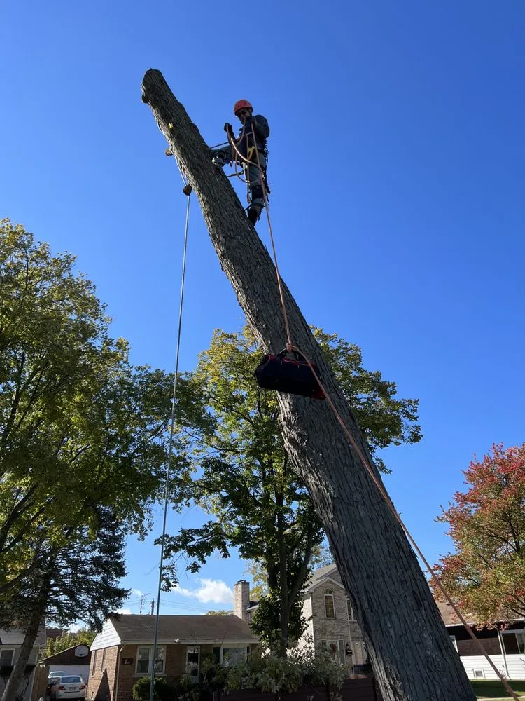 Professional lawn care service in Mundelein, IL by Moreno Landscaping