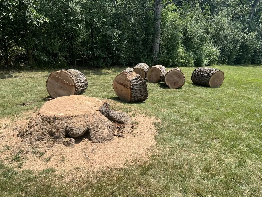 Professional lawn care service in Mundelein, IL - Moreno Landscaping