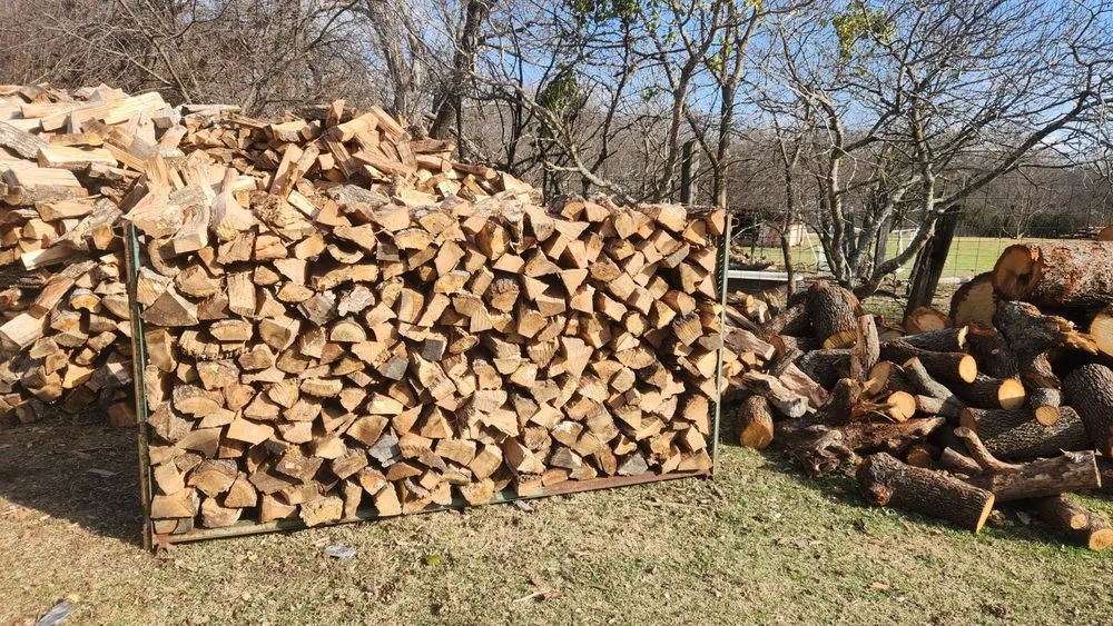 Local yard cleanup service experts serving Rendon, TX - Moreno Landscaping