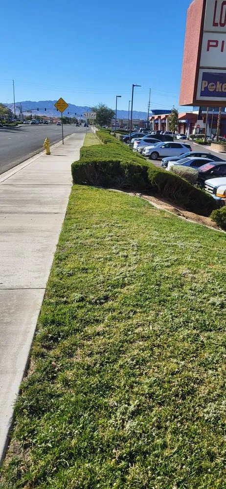 Custom landscaping services for outdoor upgrades across Hesperia, CA - Moreno Lanscaping