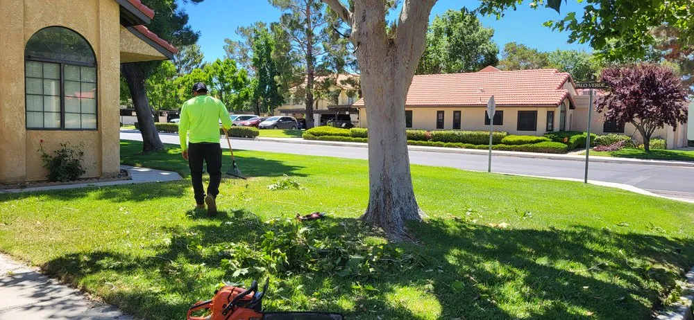 Trusted landscaping services in Hesperia, CA - Moreno Lanscaping