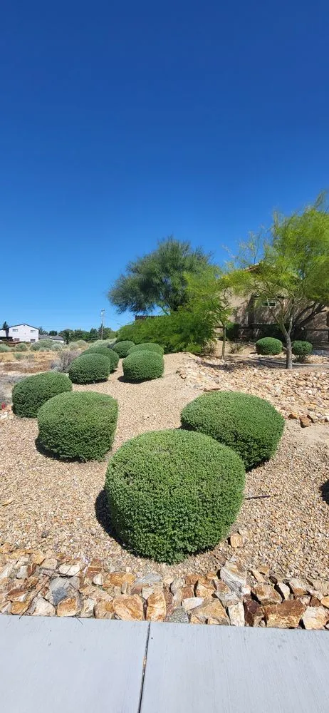 Custom landscape installation in Hesperia, CA - Moreno Lanscaping
