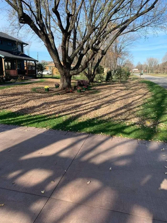 Professional garden landscaping experts serving Dowagiac, MI - Moreno Lawn Care