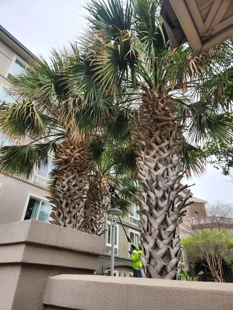 Custom lawn mowing service in Georgetown, TX - Moreno Lawn Service