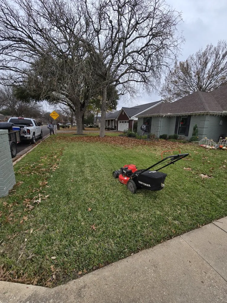 Professional garden landscaping with custom design across Georgetown, TX - Moreno Lawn Service