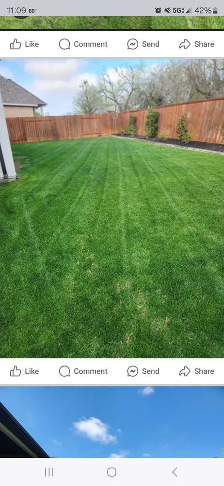 Reliable lawn mowing service for outdoor upgrades across Georgetown, TX - Moreno Lawn Service