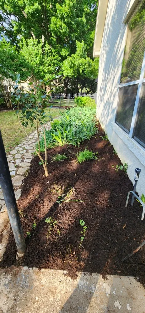 Local landscaping services with custom design in Georgetown, TX by Moreno Lawn Service