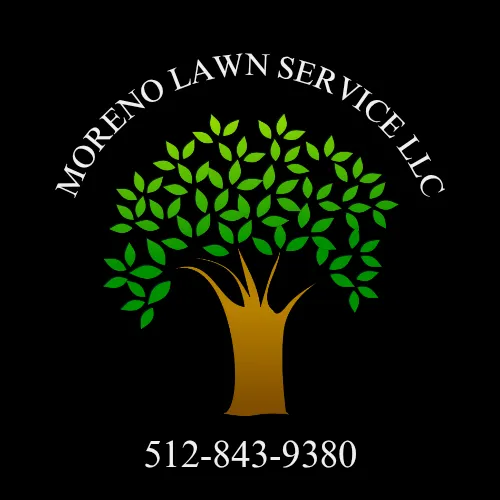 Custom landscape design with custom design in Georgetown, TX by Moreno Lawn Service