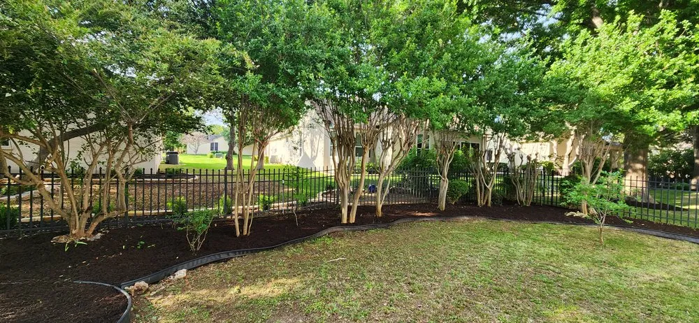 Reliable lawn mowing service experts serving Georgetown, TX - Moreno Lawn Service