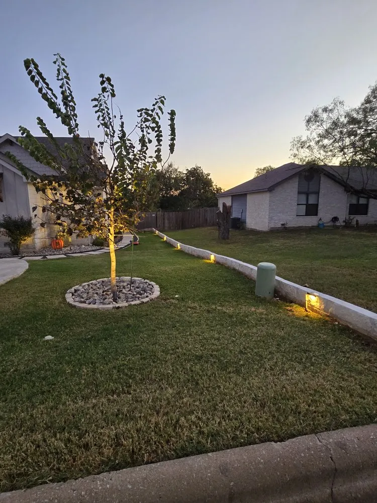 Top-rated landscape design in Georgetown, TX - Moreno Lawn Service
