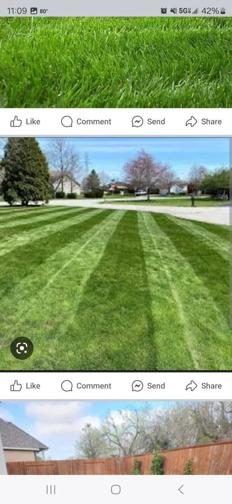 Top-rated yard cleanup service in Georgetown, TX by Moreno Lawn Service