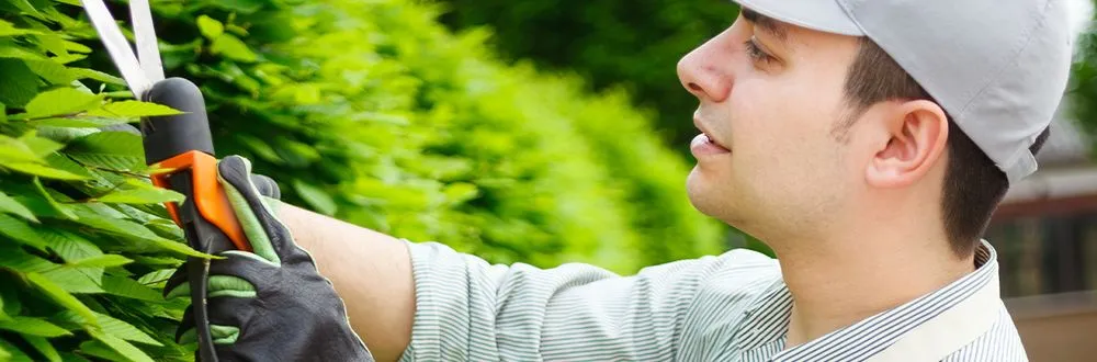 Custom landscaping services in Waco, TX - Moreno Mowing