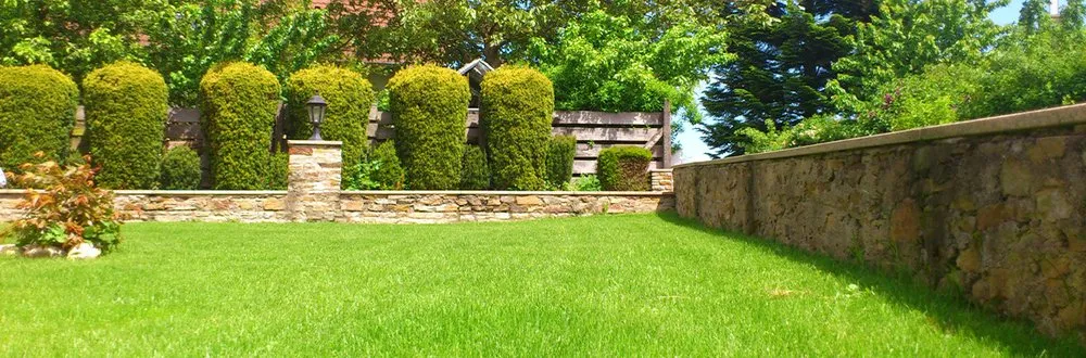 Top-rated outdoor landscaping for homes in Waco, TX by Moreno Mowing