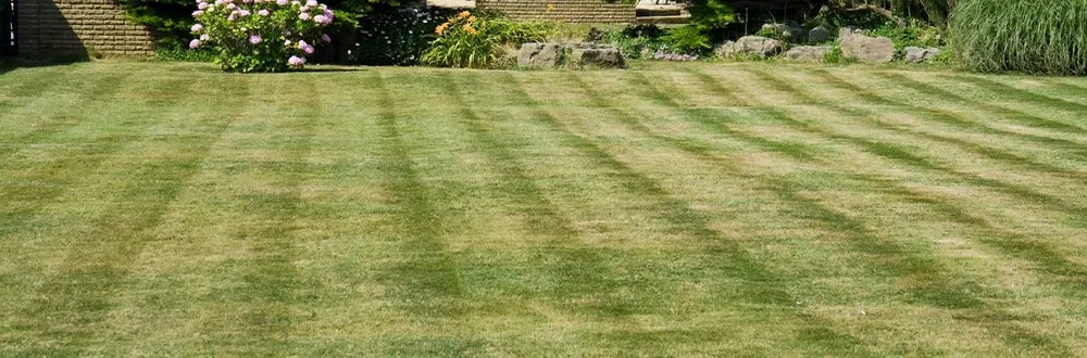 Affordable lawn care service experts serving Waco, TX - Moreno Mowing