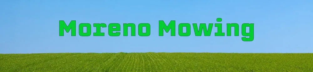 Top-rated residential landscaping in Waco, TX - Moreno Mowing