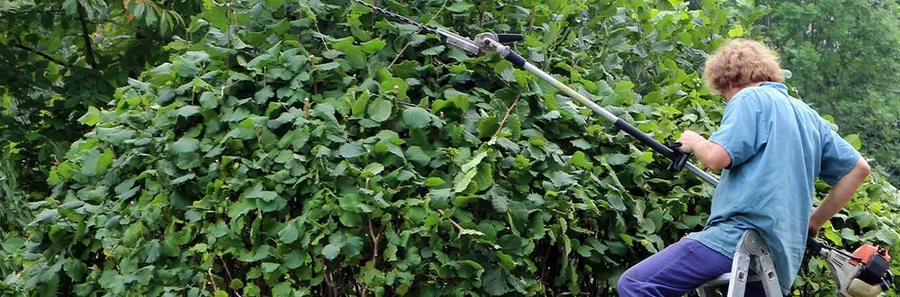 Reliable residential landscaping experts serving Waco, TX - Moreno Mowing