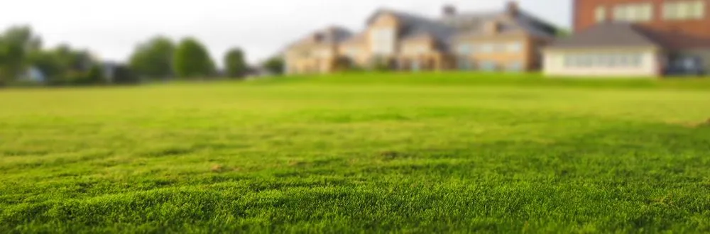Reliable lawn care service in Waco, TX - Moreno Mowing