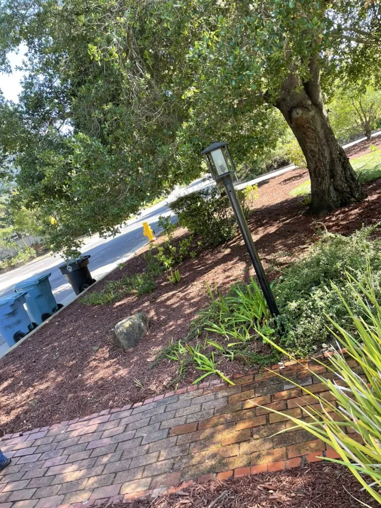 Local landscape installation in Menlo Park, CA by Moreno Pavers